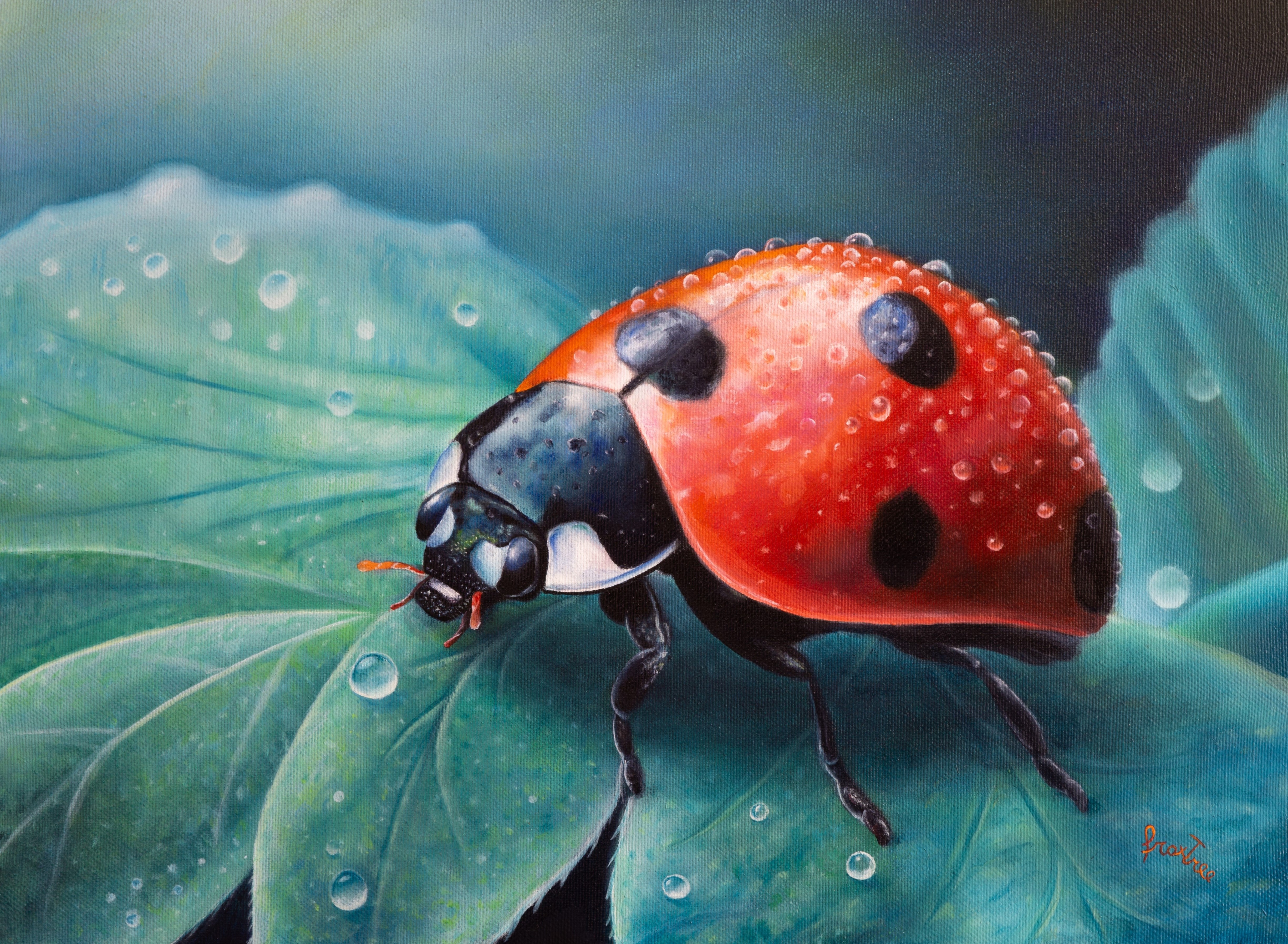 Coccinella su foglia